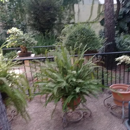 Apartamento Piso En 148 M2 Con Ascensor ,4 Hab Gandía